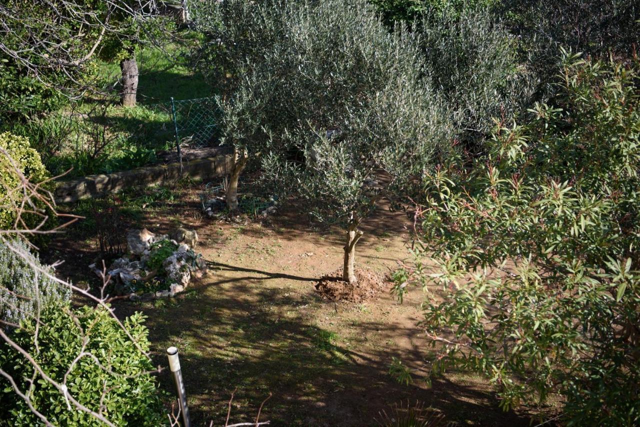 Villa Claudia Beach Apartment Premantura Extérieur photo